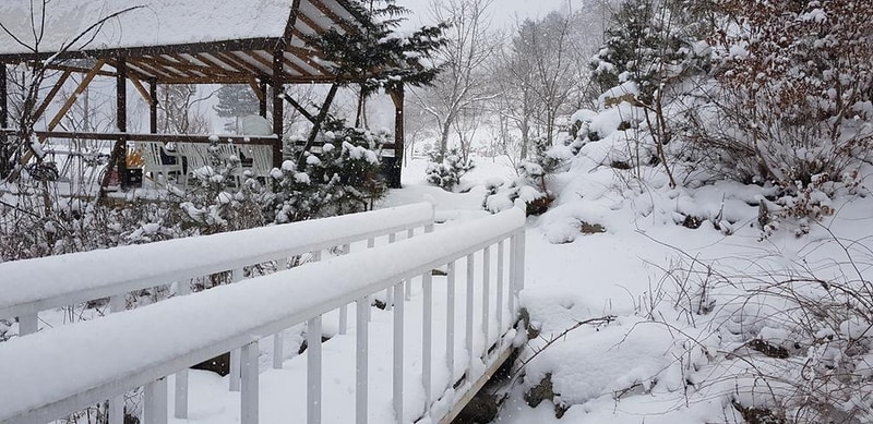 숲속애캠핑장 시설 사진 6