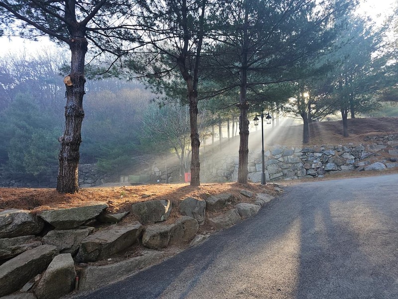 (에드203) 플라네캠핑장 시설 사진 12