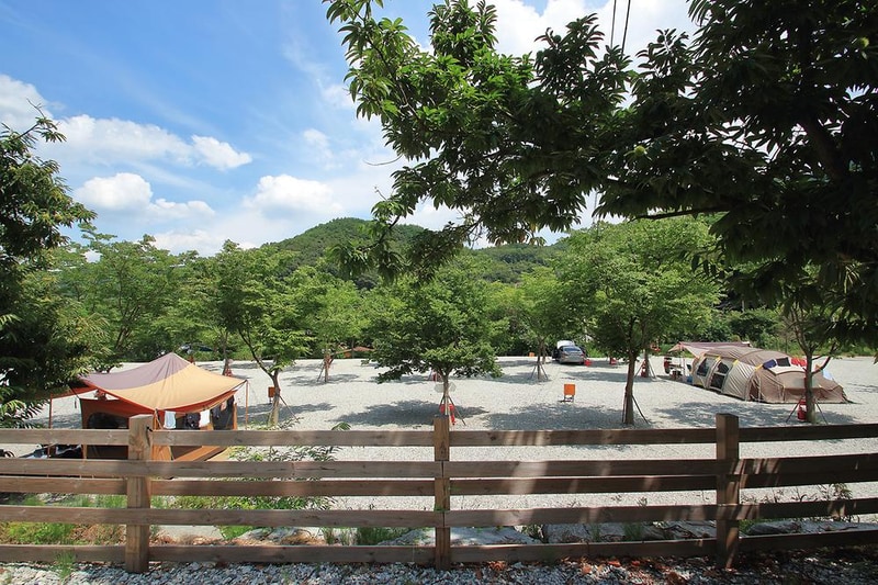 연풍연가캠핑장 시설 사진 3