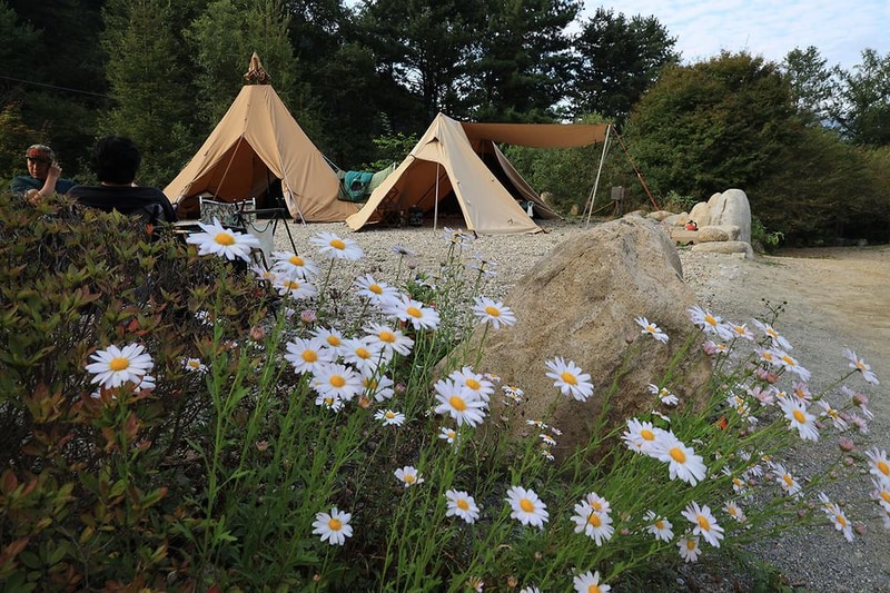 분지울작은캠프장 시설 사진 14