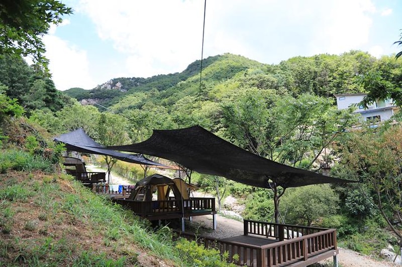 용문산 자연휴양림 대표 사진