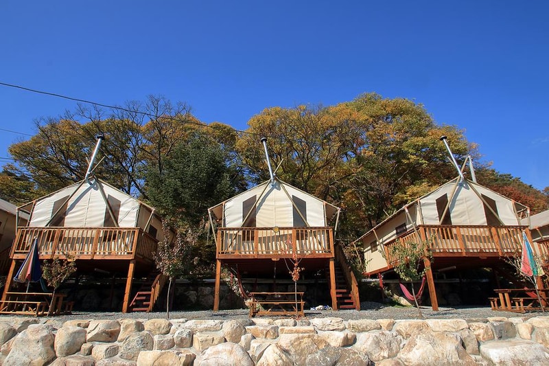 살구나무글램핑&펜션 시설 사진 8