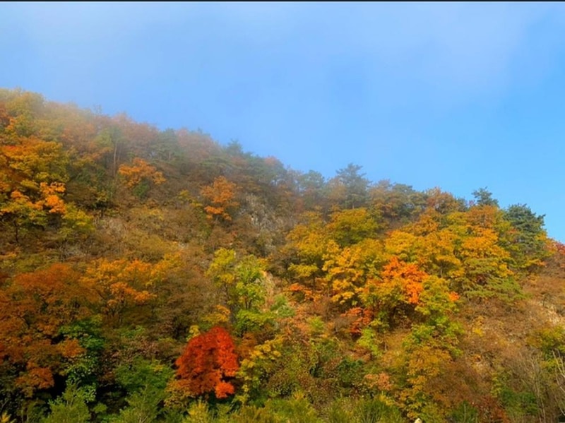 파인트리캠핑장 시설 사진 67