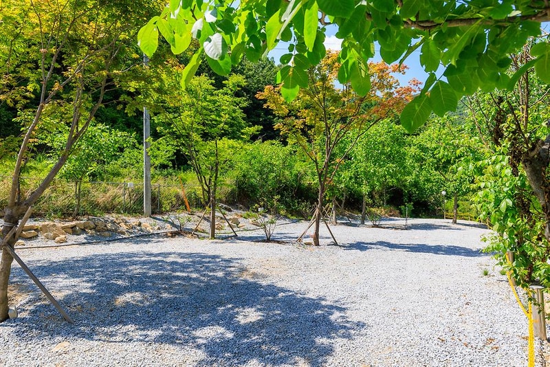 은하수 관광농원 시설 사진 9