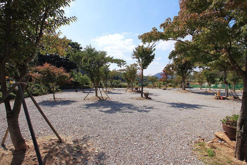 속리산알프스캠핑장&펜션 시설 사진 3