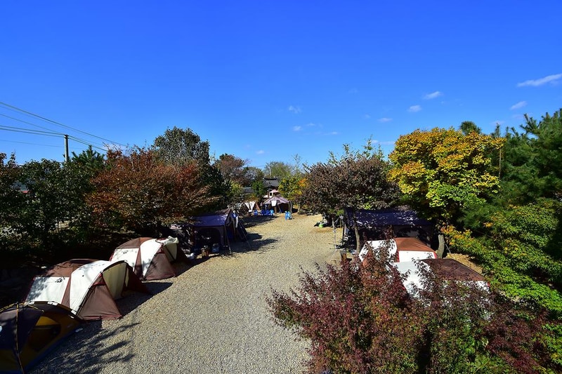 경주초우오토캠핑장 시설 사진 13