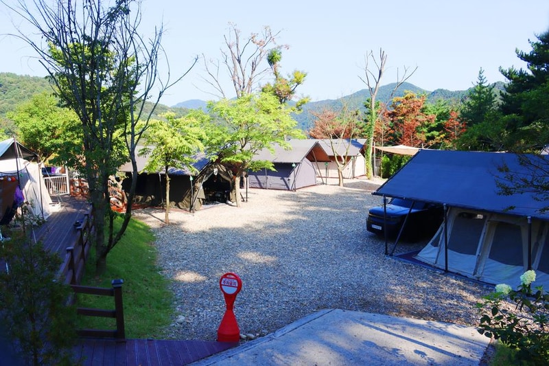 (주)러블레싱(LOVEBLEESING INC) 시설 사진 20