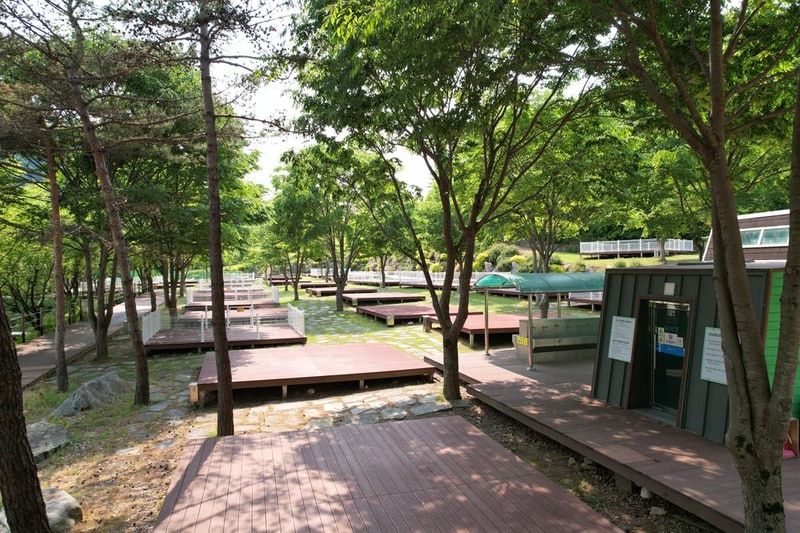 정선군생태체험학습장야영장 펫 동반 캠핑장 시설 사진 77