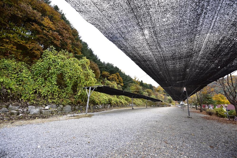 지지벨리 유명산 오토캠핑장 시설 사진 5