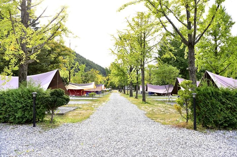 와이캠핑장 대표 사진