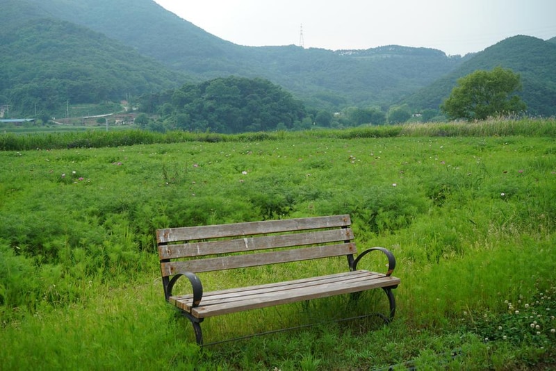 낙동강 레포츠밸리 강변오토캠핑장 시설 사진 11