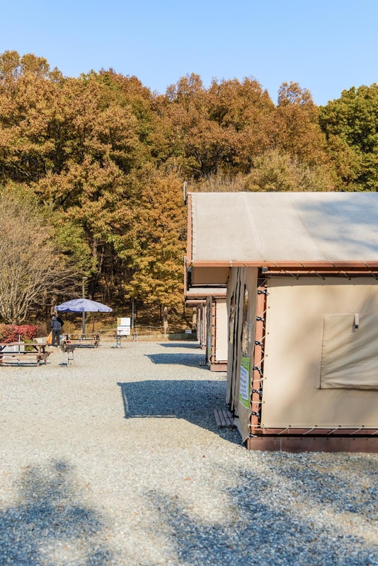 초막골생태공원 느티나무야영장 시설 사진 46