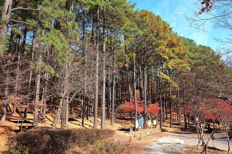 백운산 자연휴양림 야영장 시설 사진 11