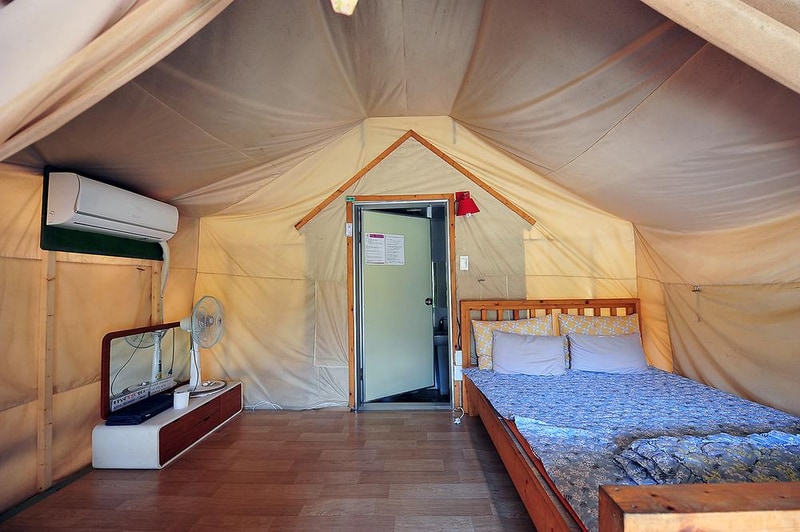 유식물원 관광농원 시설 사진 2