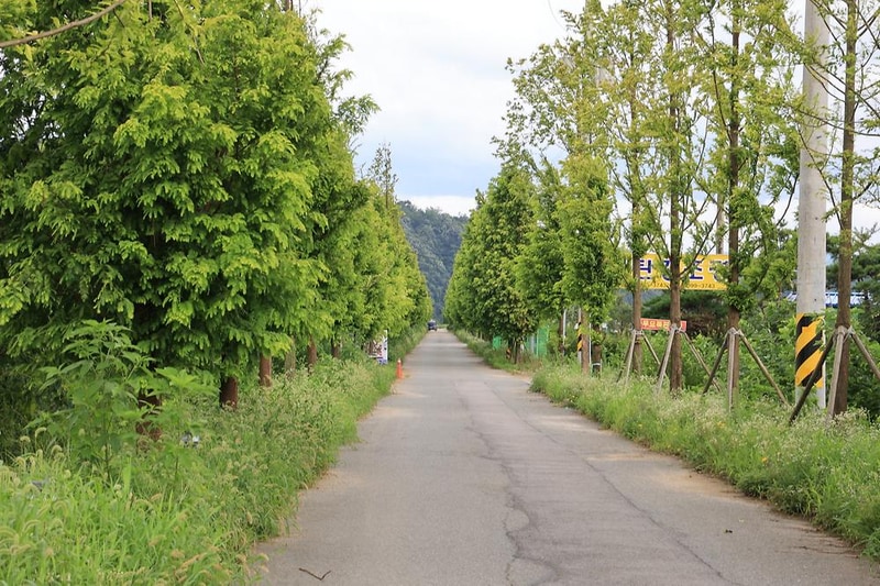 임진강 캠핑장 시설 사진 12