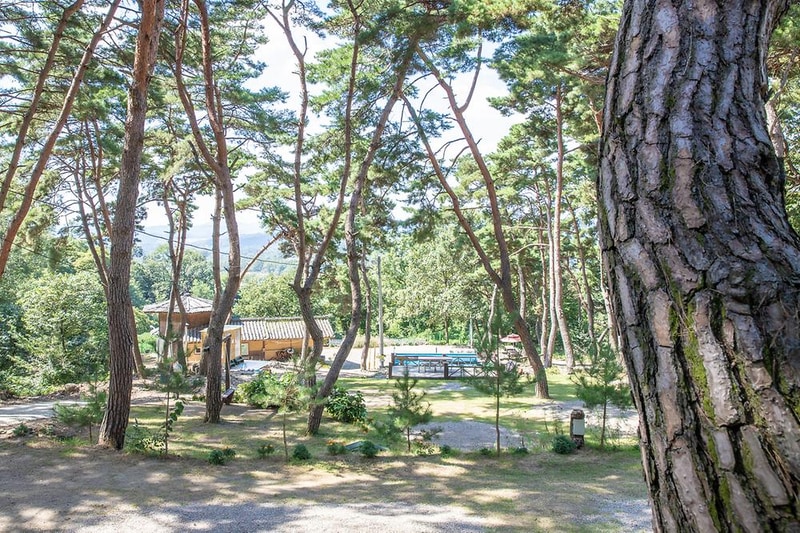 솔베이캠핑장 시설 사진 15