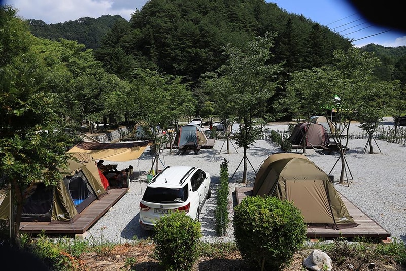 봉화솔향가득서울캠핑장 시설 사진 16