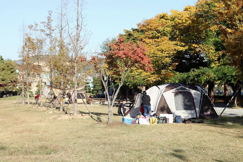 공릉관광지 캠핑장 시설 사진 8