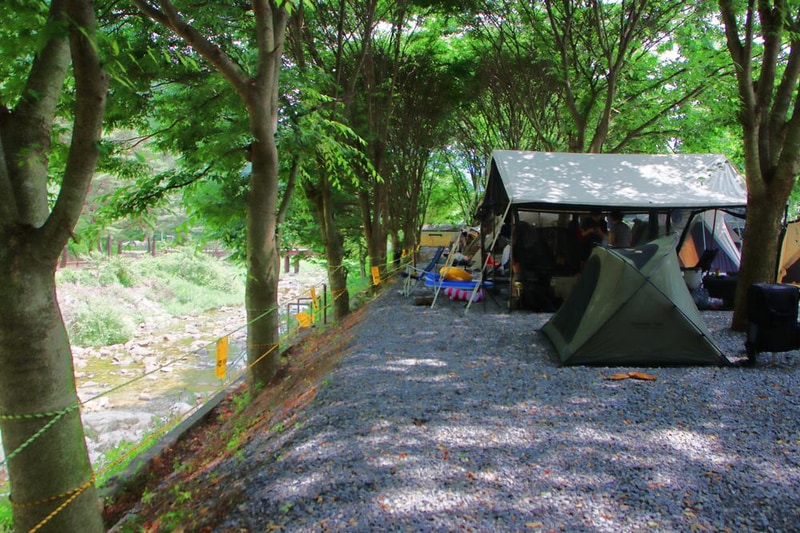 법흥계곡캠핑오늘 시설 사진 20