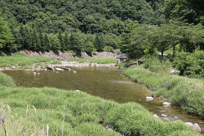 가평 쉼 캠핑장 시설 사진 6