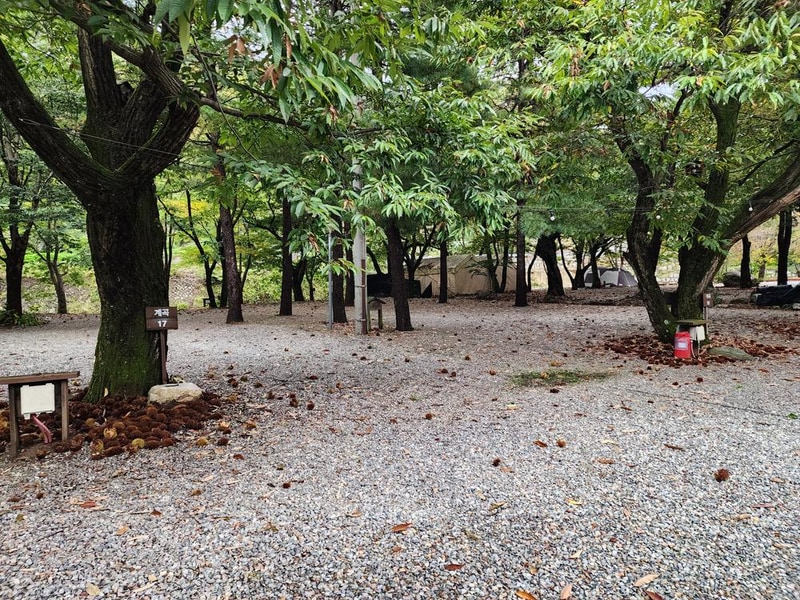 유명산밸리 캠핑장 시설 사진 15