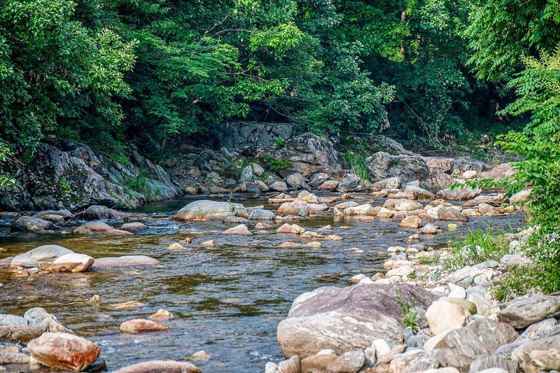 백허그 캠핑장 시설 사진 2