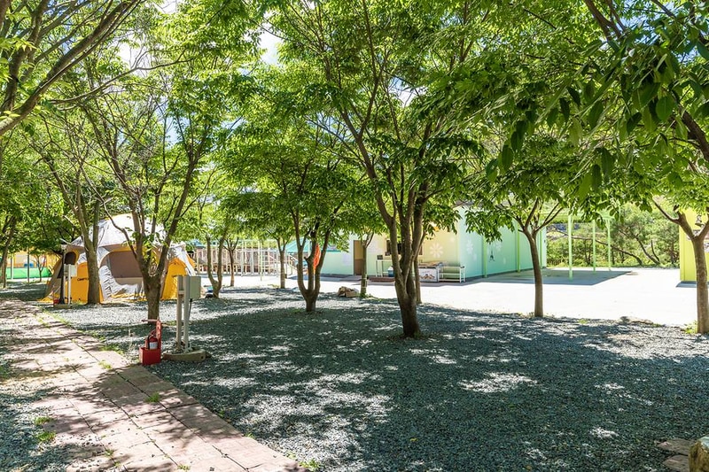 행화촌자연테마파크 시설 사진 11