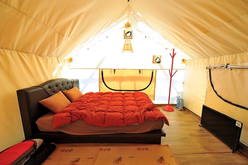 룩스글램핑앤팜 시설 사진 24