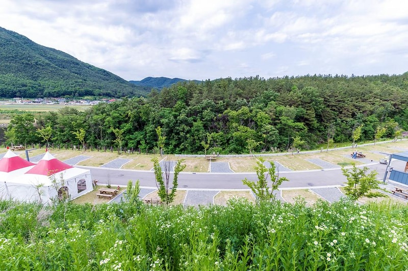 위천수변 테마파크 시설 사진 24