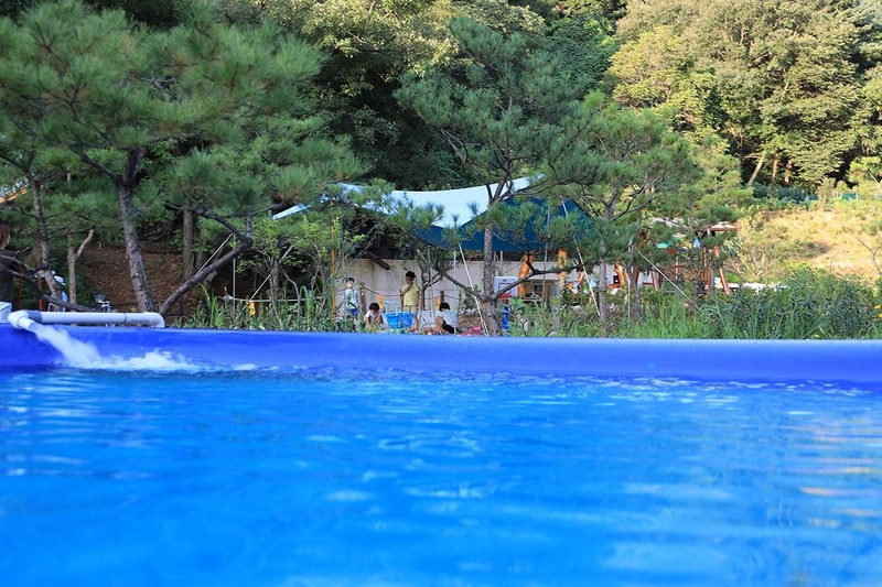 초리 포레스트 시설 사진 6