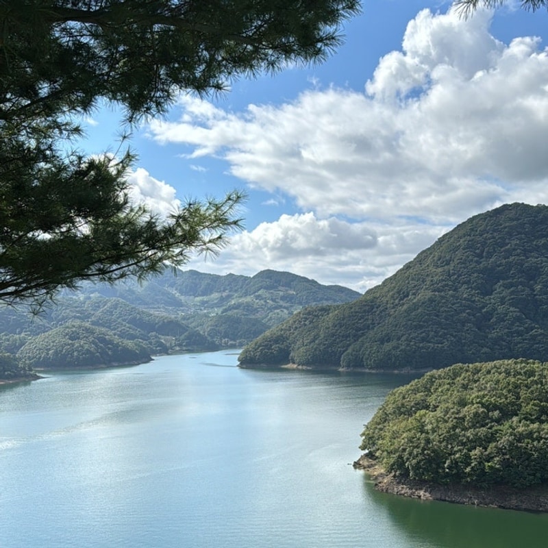 스위스캠핑장 대표 사진