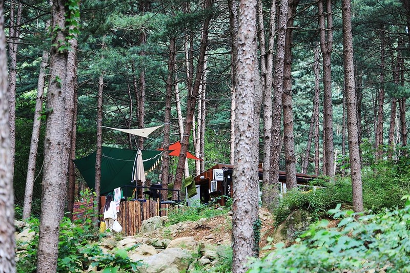 호명산잣나무숲속캠핑장 시설 사진 7