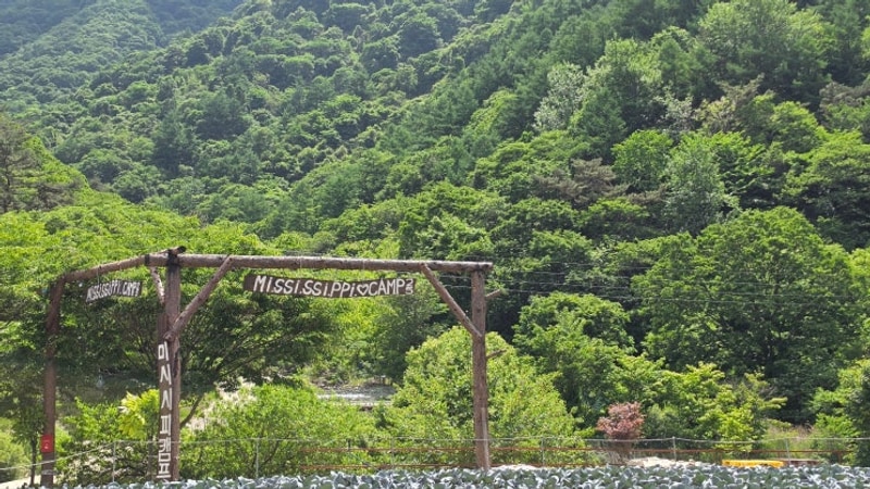 월악산 미시시피 캠핑장