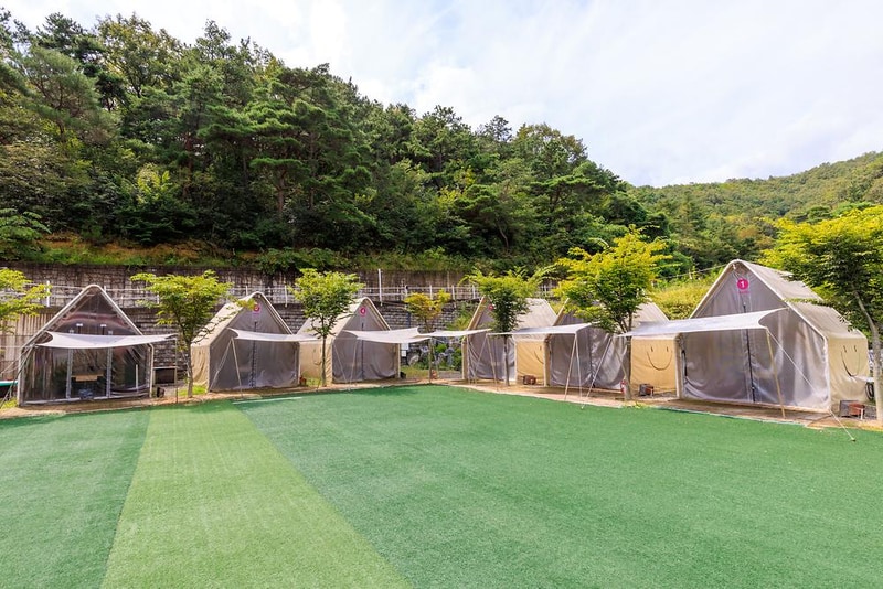 Little 80 시설 사진 13