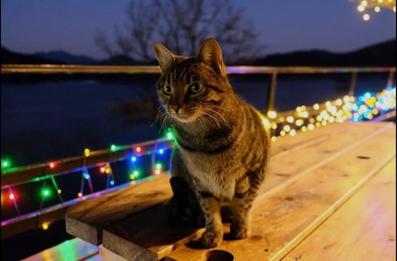 합천해피캠핑 시설 사진 12