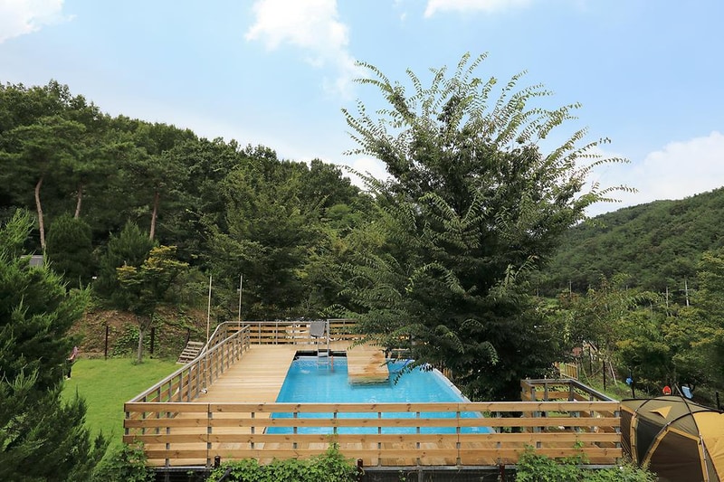 트리독스 애견전용캠핑장 시설 사진 1