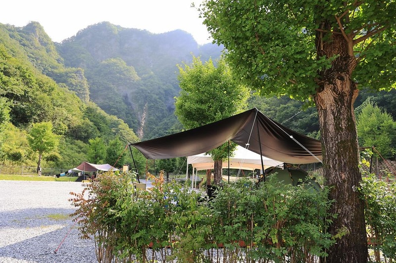 코끼리마을 시설 사진 18