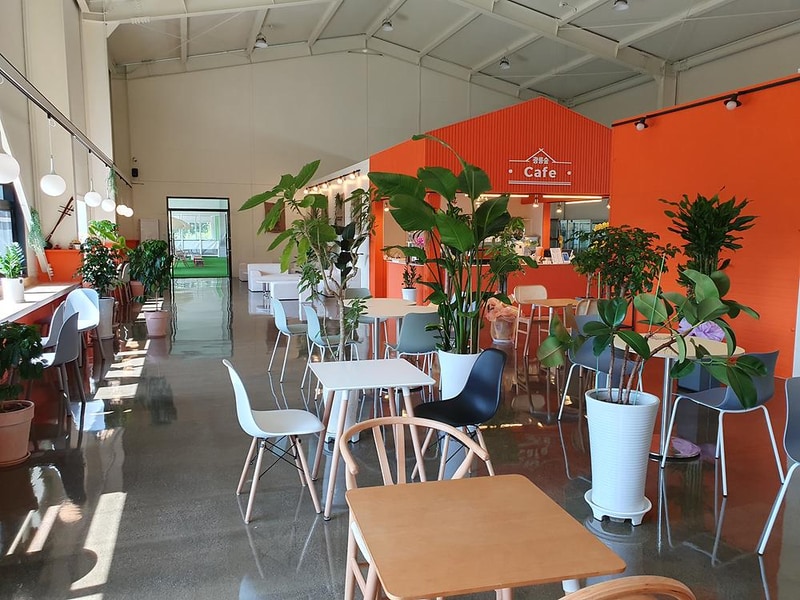 코코숲 바베큐&글램핑 시설 사진 8