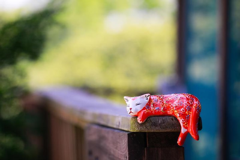 너리굴문화마을 캠핑장 대표 사진