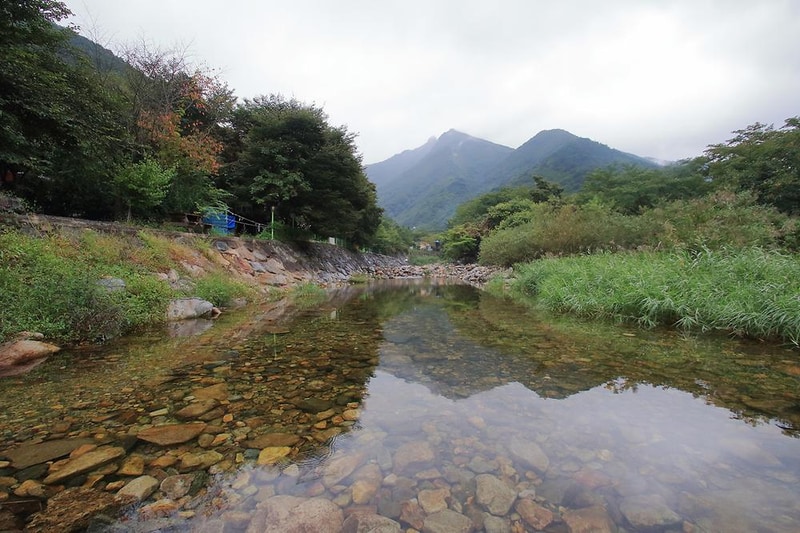 배너미오토캠핑장 시설 사진 12