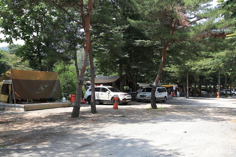 청천 화양동관광농원 초롱이캠핑장 시설 사진 19