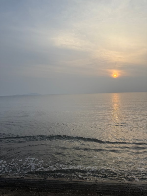 몽산포오토캠핑장 2구역