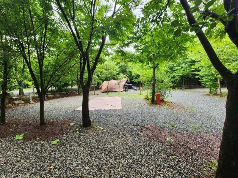 몬테비얀코 대표 사진