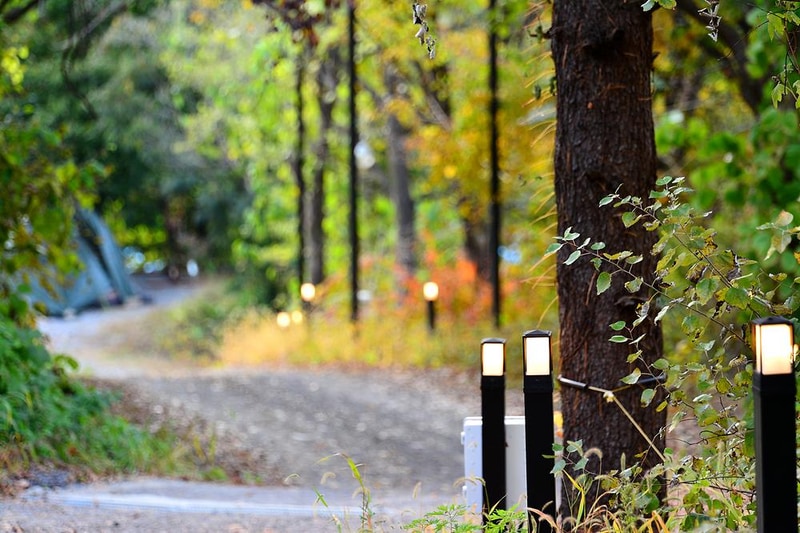 산으로간 니모 캠핑장 시설 사진 18