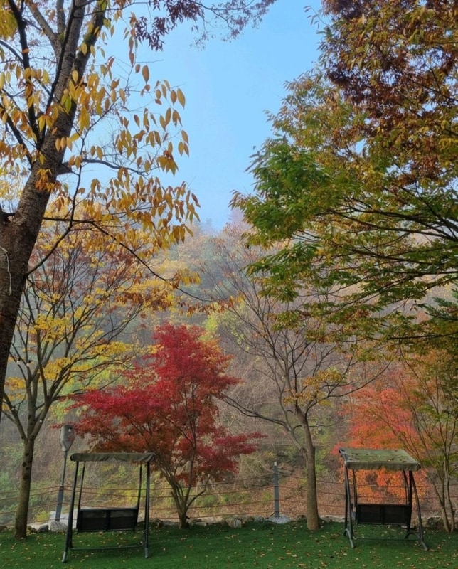 별밤 글램핑 시설 사진 15