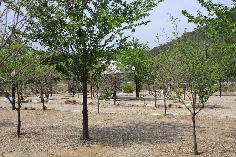 풀앤밸리야영장 시설 사진 5