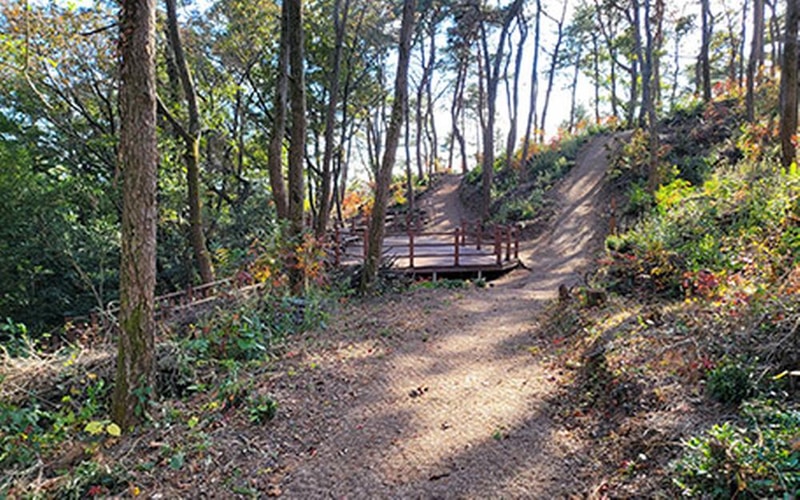 장흥군 수문랜드 블루투어 시설 사진 17