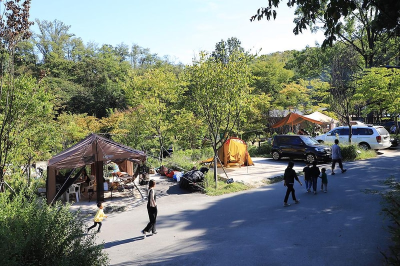 초안산캠핑장 시설 사진 5