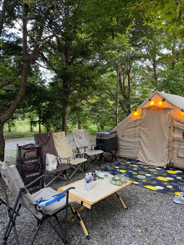 가평 밤나무숲캠핑장 대표 사진