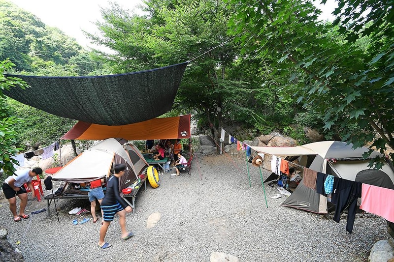 느티나무야영장 시설 사진 7